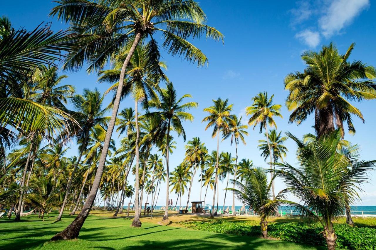Paraiso Na Terra - Carneiros Beach Resort Tamandaré Екстериор снимка