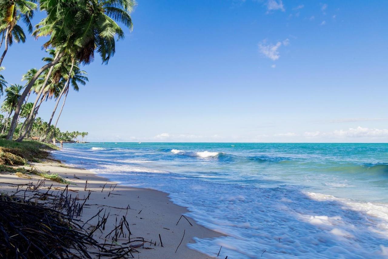 Paraiso Na Terra - Carneiros Beach Resort Tamandaré Стая снимка